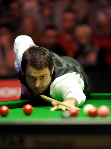 仅揭示了足 仅揭示了足