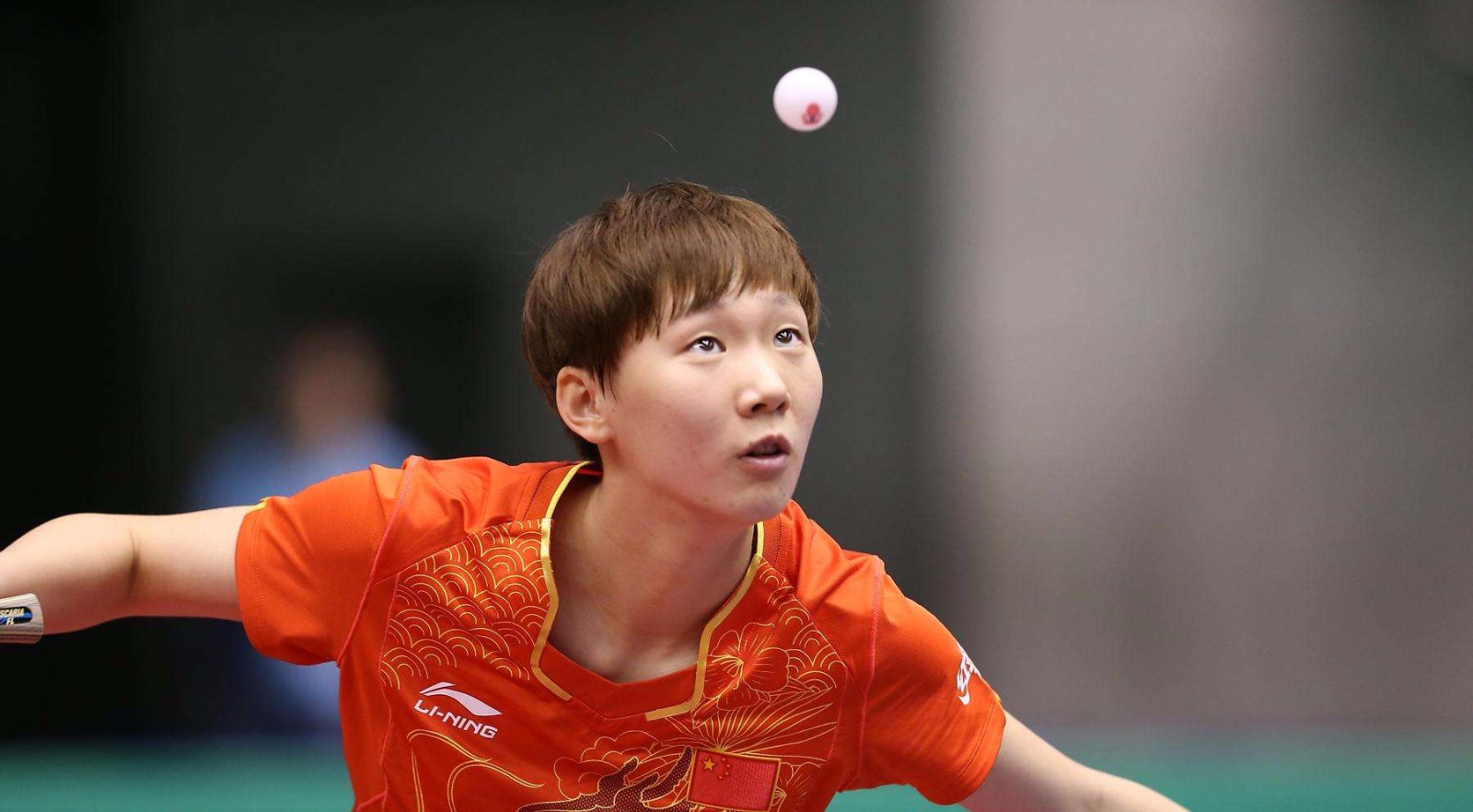 本文将深入 本文将深入