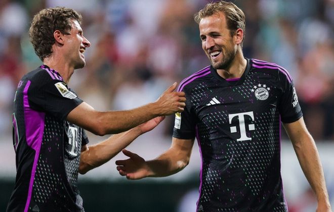 这对伴侣之 这对伴侣之