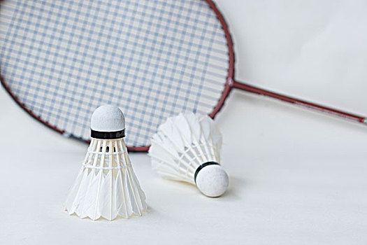 场胜利中展 场胜利中展