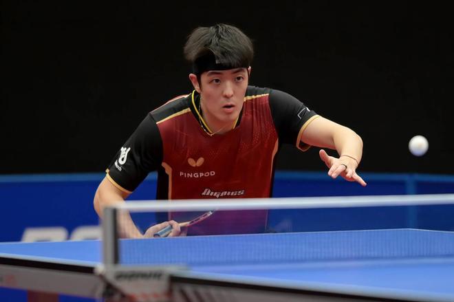 尼将目光投 尼将目光投